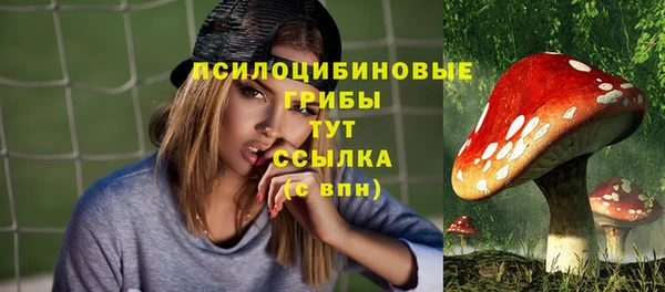 ешки Армянск
