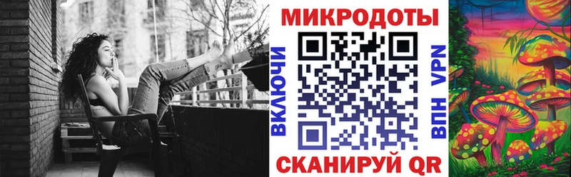 где продают наркотики Калининск Галлюциногенные грибы Psilocybe